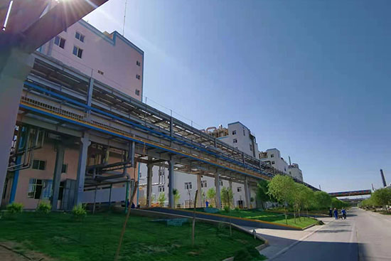 Компания 